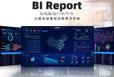 BI Report